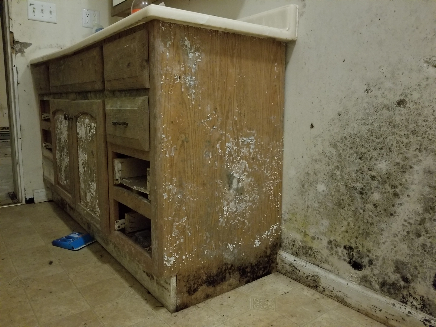 Mold Remediation